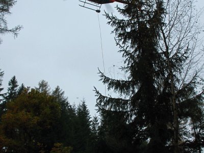 Práce s lanovým podvěsem v lesním terénu.